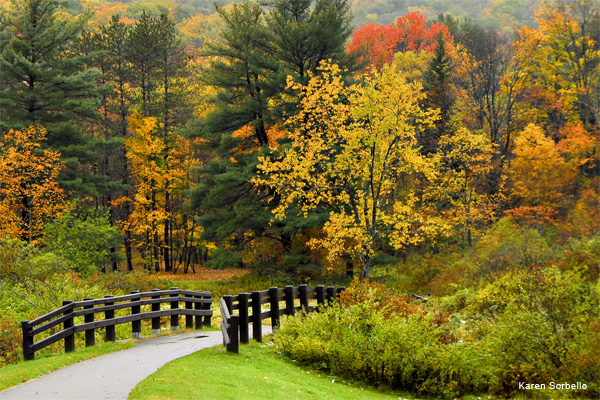 Path to Nowhere by Karen Sorbello